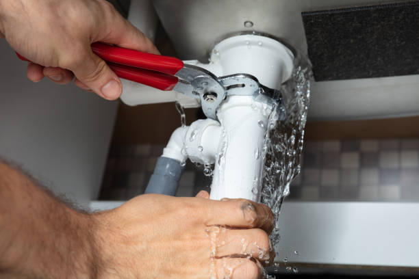 Best Professional water damage repair  in USA